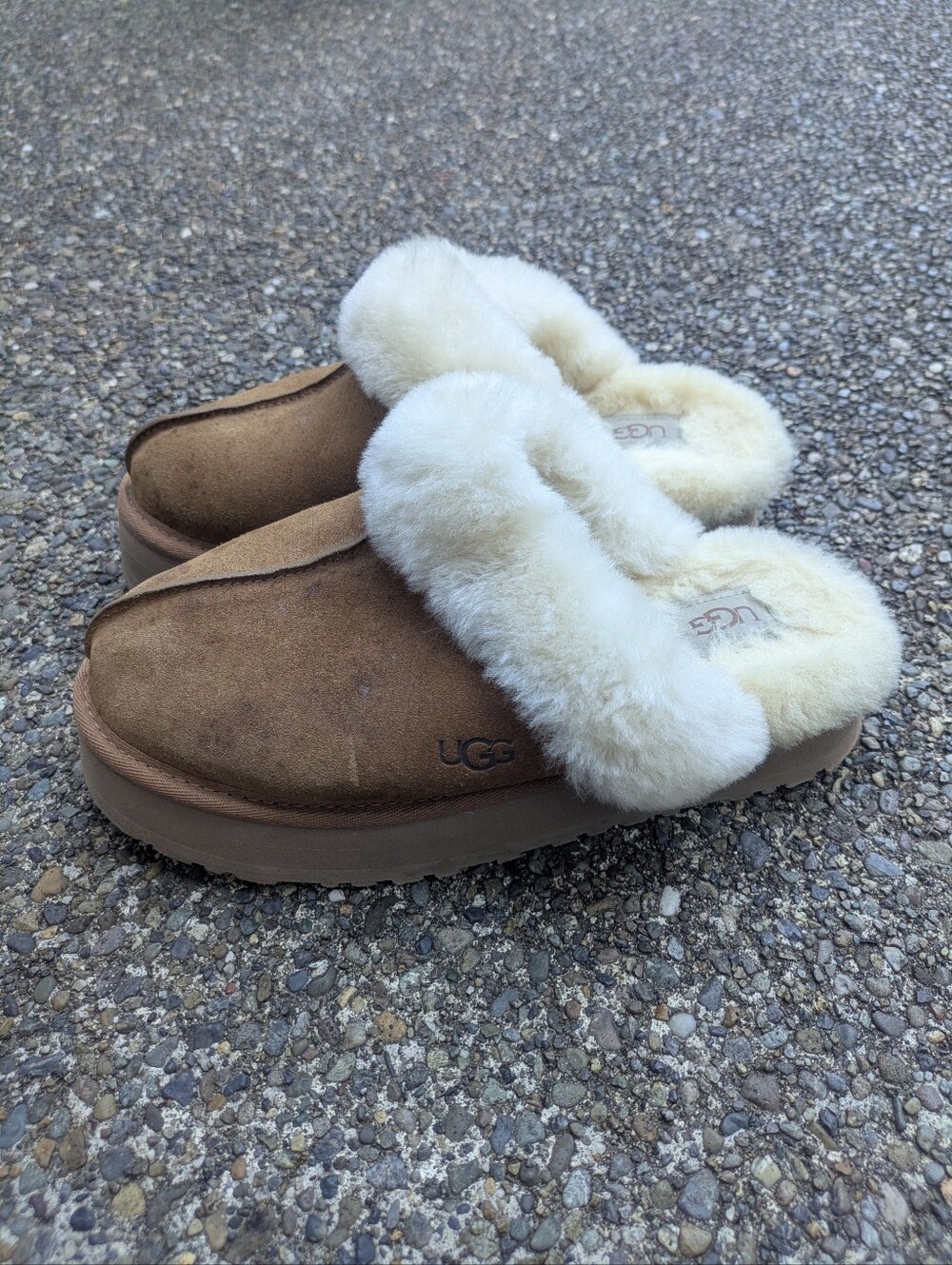 UGG Disquette Slippers